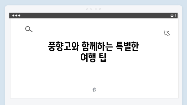 풍향고 촬영지 따라 떠나는 2024 인기 베트남 여행 코스 소개!