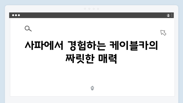 [사파 액티비티] 케이블카부터 트레킹까지 - 풍향고 체험 리스트