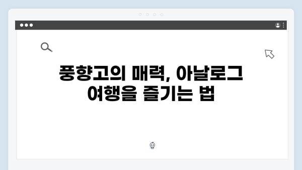 2024년 최신 베트남 여행 트렌드 - 풍향고와 함께하는 아날로그 감성