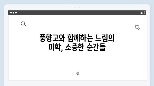 2024년 최신 베트남 여행 트렌드 - 풍향고와 함께하는 아날로그 감성