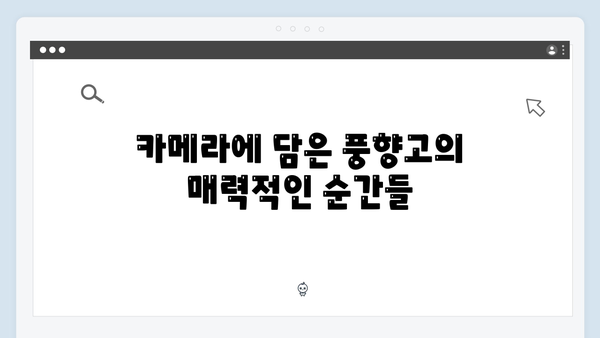 사파 포토스팟 총정리 - 풍향고 촬영 명소 가이드