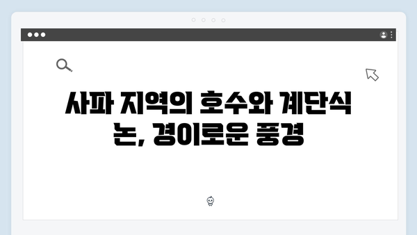 풍향고에서 만난 아날로그 감성, 하노이와 사파의 매력 총정리