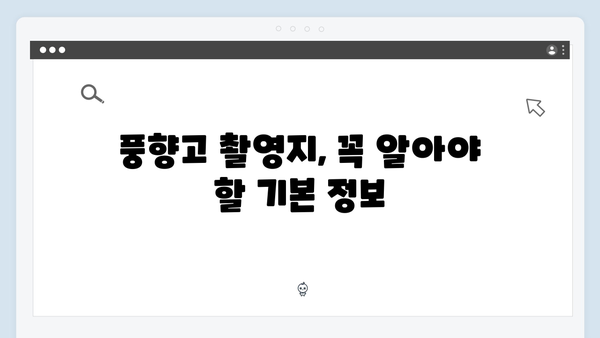 2024 베트남 여행 필수코스 - 풍향고 촬영지 완벽정복 로드맵