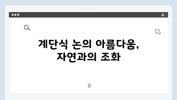[사파 여행] 계단식 논부터 소수민족 마을까지 - 풍향고 촬영지 탐방기