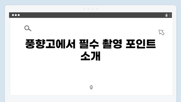 베트남 하노이 포토스팟 - 풍향고 촬영 성지순례