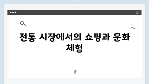 2024 베트남 여행 인기 액티비티 - 풍향고 멤버들의 도전기