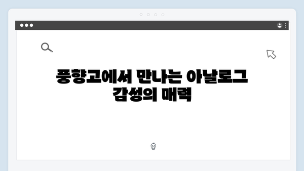 2024 베트남 여행 트렌드 - 풍향고에서 배우는 아날로그 감성 여행법
