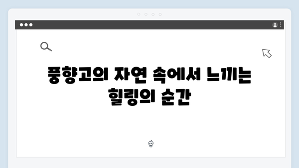 2024 베트남 여행 트렌드 - 풍향고에서 배우는 아날로그 감성 여행법