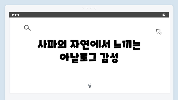 베트남 사파에서 만난 아날로그 감성 - 풍향고의 특별한 순간들