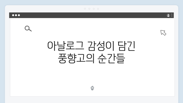 베트남 사파에서 만난 아날로그 감성 - 풍향고의 특별한 순간들