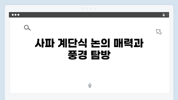 [2024 겨울여행] 사파 계단식 논 트레킹 완벽 가이드