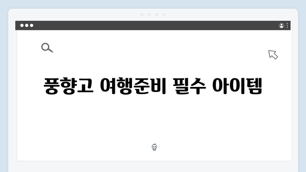 2024 베트남 여행 꿀팁 - 풍향고 완벽 가이드