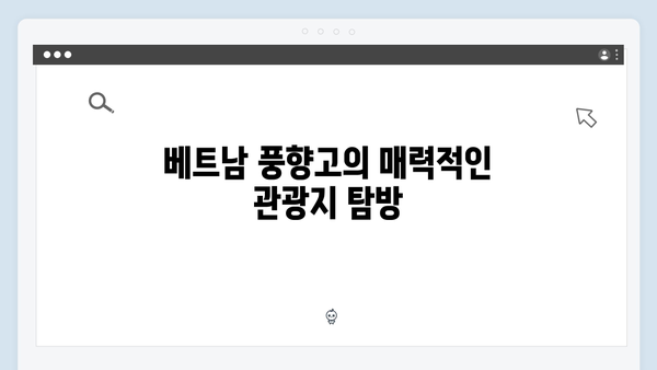 2024년 인기 급상승 중인 베트남 여행 코스 - 풍향고 따라잡기 완벽 정리!