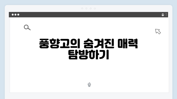 2024 베트남 여행 필수 코스 - 풍향고 촬영지 완벽 정복하기