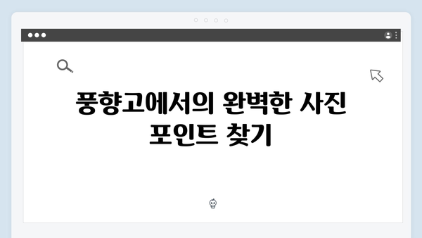 2024 베트남 여행 인기코스 - 풍향고 촬영지 완벽정복