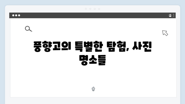 2024 베트남 여행 신상 명소 - 풍향고가 발견한 핫플
