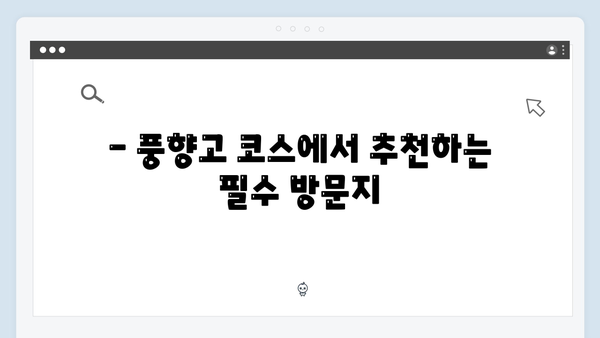 2024 베트남 여행 계획 - 풍향고 코스 따라잡기
