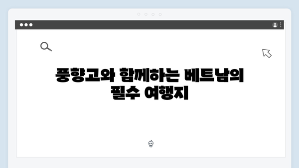 베트남 여행 초보자 가이드 - 풍향고와 함께하는 완벽여행