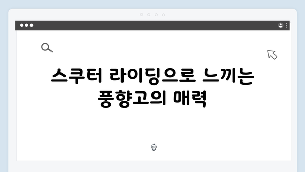 2024 베트남 여행 인기 액티비티 - 풍향고 체험 리스트