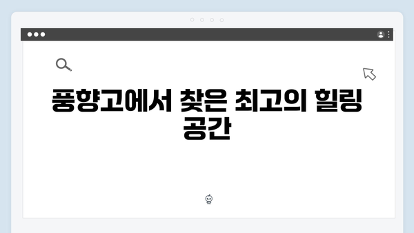 2024 하노이 스파 추천 - 풍향고에서 공개된 힐링스팟