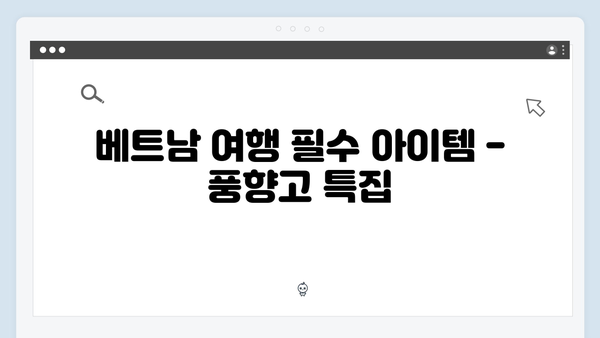 2024년 가장 핫한 베트남 여행 정보 - 풍향고 촬영지를 중심으로 알아보기!