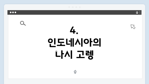 4. 인도네시아의 나시 고렝