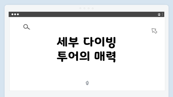 세부 다이빙 투어의 매력
