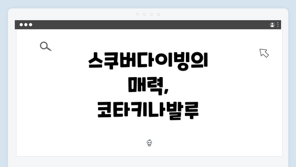 스쿠버다이빙의 매력, 코타키나발루