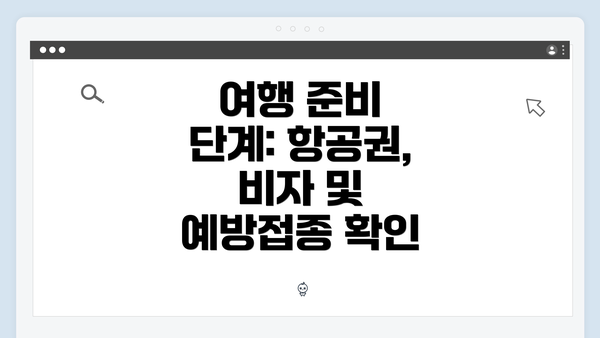 여행 준비 단계: 항공권, 비자 및 예방접종 확인