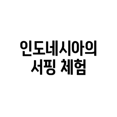 인도네시아의 서핑 체험