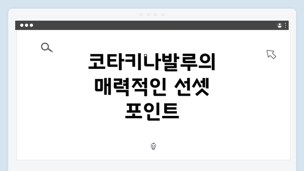 코타키나발루의 매력적인 선셋 포인트