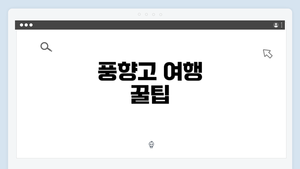 풍향고 여행 꿀팁