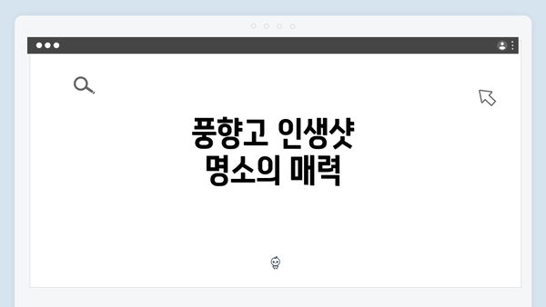 풍향고 인생샷 명소의 매력
