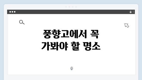 풍향고에서 꼭 가봐야 할 명소