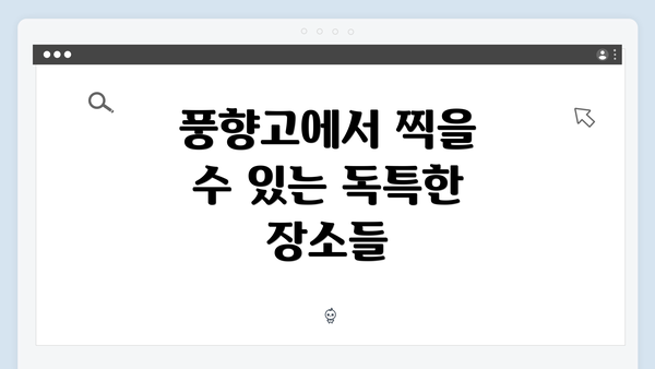 풍향고에서 찍을 수 있는 독특한 장소들