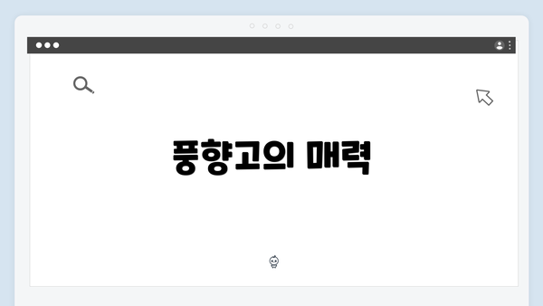 풍향고의 매력