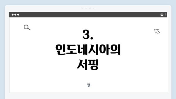 3. 인도네시아의 서핑