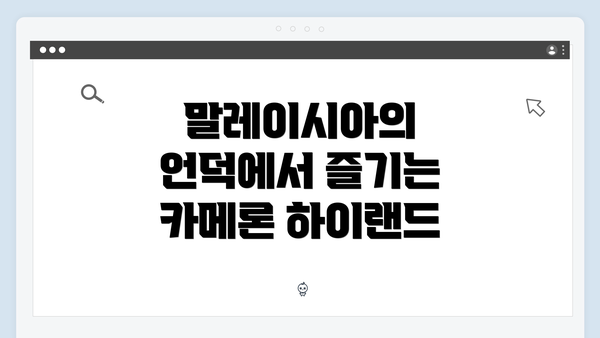 말레이시아의 언덕에서 즐기는 카메론 하이랜드