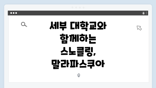 세부 대학교와 함께하는 스노클링, 말라파스쿠아