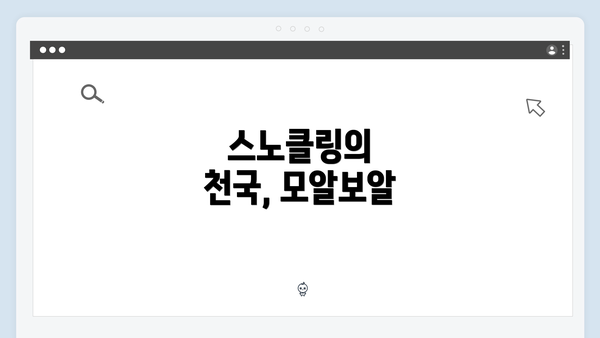 스노클링의 천국, 모알보알