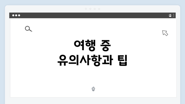 여행 중 유의사항과 팁