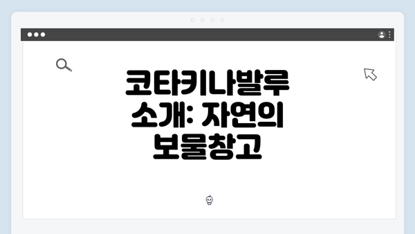 코타키나발루 소개: 자연의 보물창고