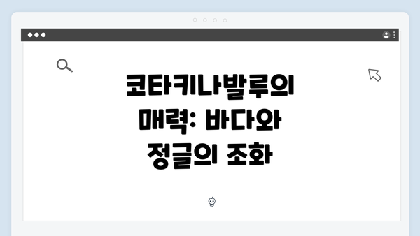 코타키나발루의 매력: 바다와 정글의 조화