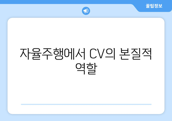 자율주행에서 CV의 본질적 역할