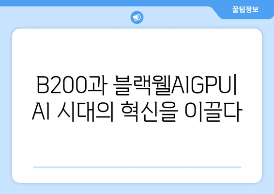 AI 기술 혁신의 새 시대: 엔비디아 컨퍼런스의 B200과 블랙웰AIGPU