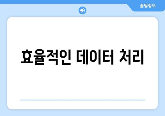 효율적인 데이터 처리