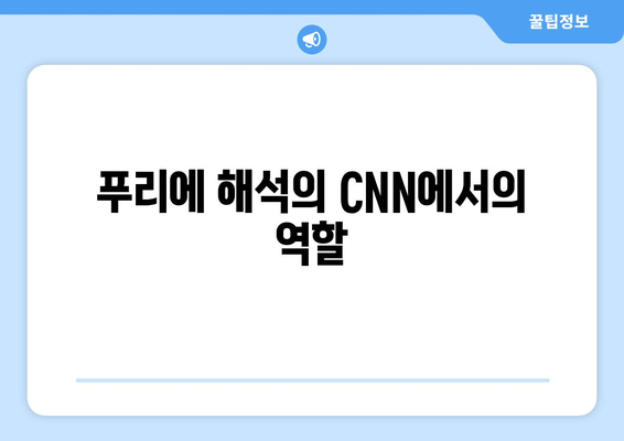 푸리에 해석의 CNN에서의 역할