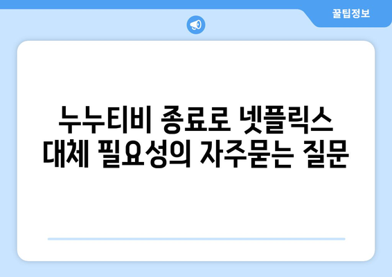 누누티비 종료로 넷플릭스 대체 필요성