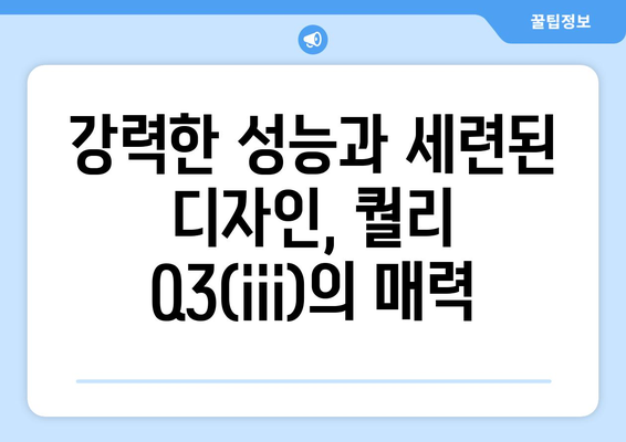 노뷜티비의 스마트 전기자전거 퀄리 q3(iii)