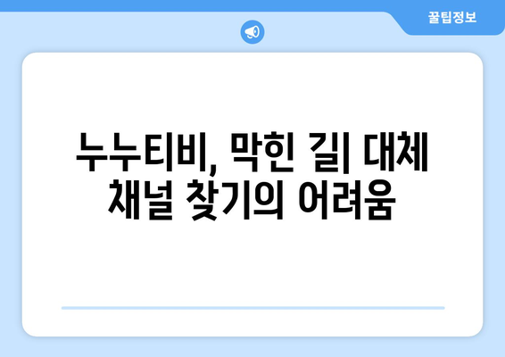 누누티비, 대체 채널이 없는 끝